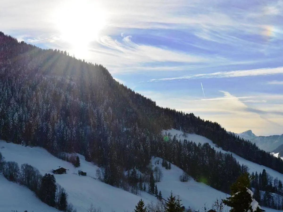 Apartment Studio Ensoleille Avec Balcon Sud, Parking, Navette, 4 Couchages - Le Grand-Bornand - Fr-1-241-98 France